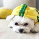 Puppy Dog Costume