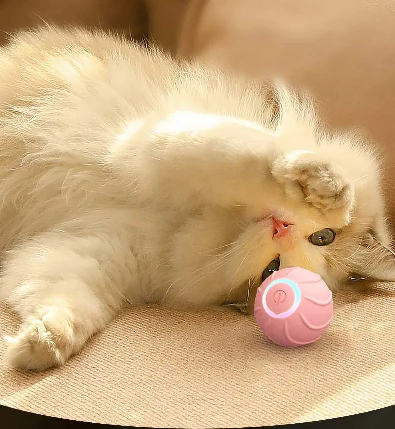 Smart Cat Toys Rolling Ball Pet Cat Owner Interactive Toys Automatic Bouncing Ball USB Self Hi Teasing Kittens Jumping Ball